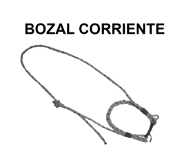 BOZAL CORRIENTE